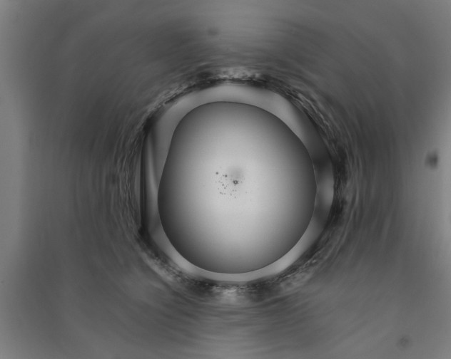 X0000091080564200708201436