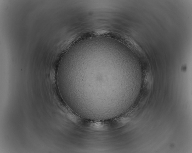 X0000091080565200708201436