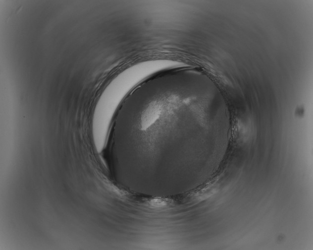 X0000091080566200708201436