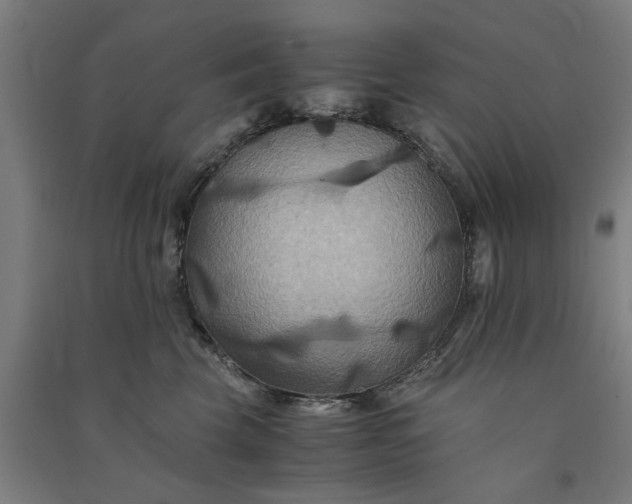 X0000091080569200708201436