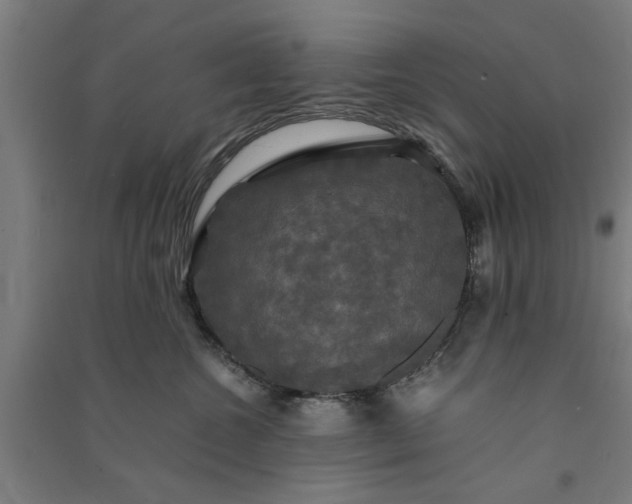 X0000091080572200708201437