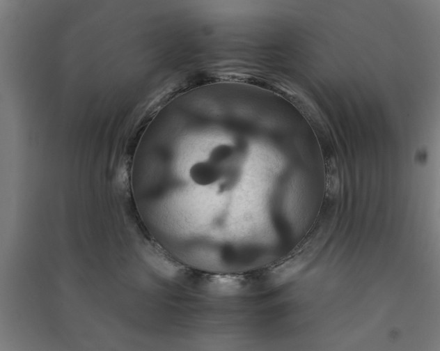 X0000091080573200708201437