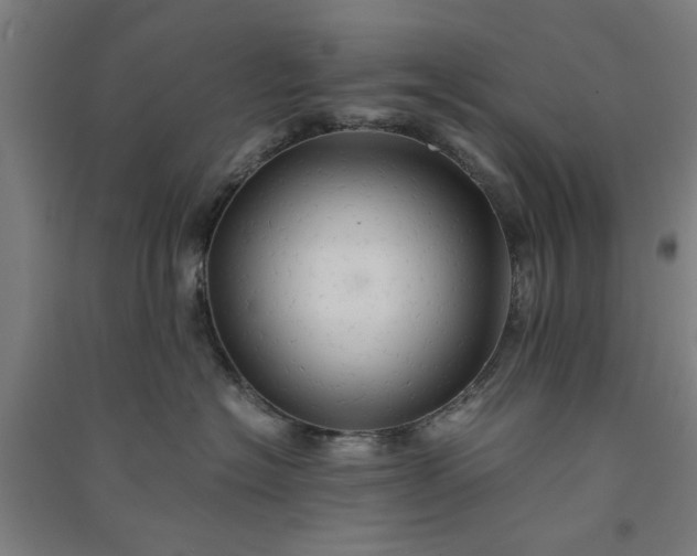 X0000091080574200708201437