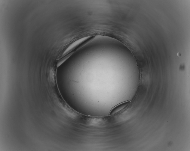 X0000091080575200708201437