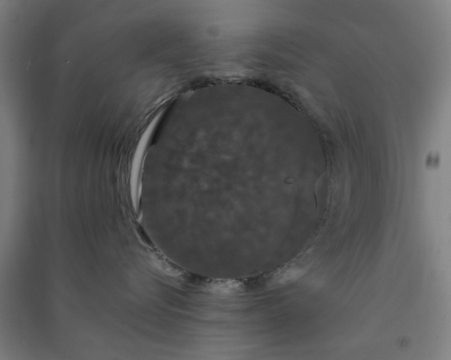 X0000091080576200708201437