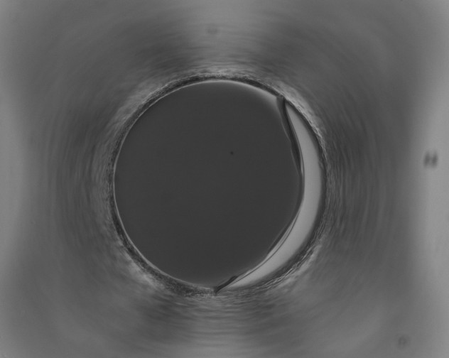 X0000091080577200708201436