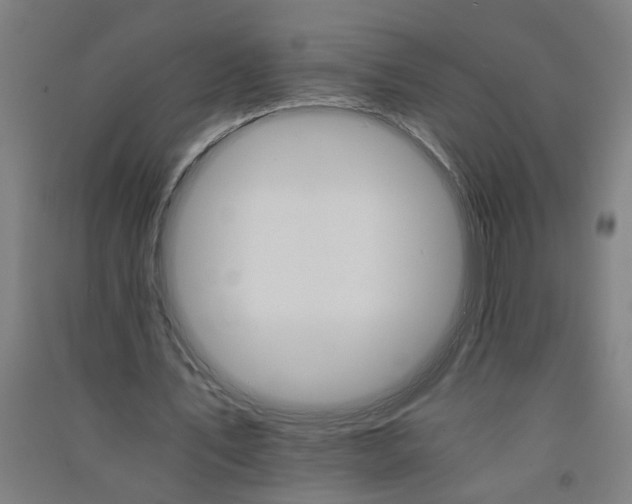 X0000091080579200708201436