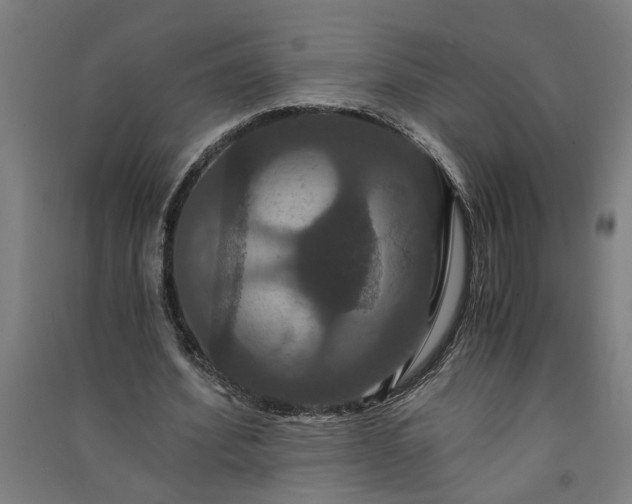 X0000091080580200708201436