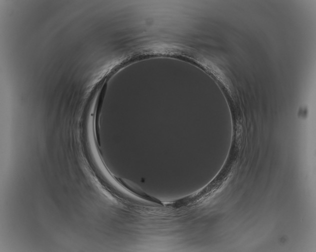 X0000091080581200708201436