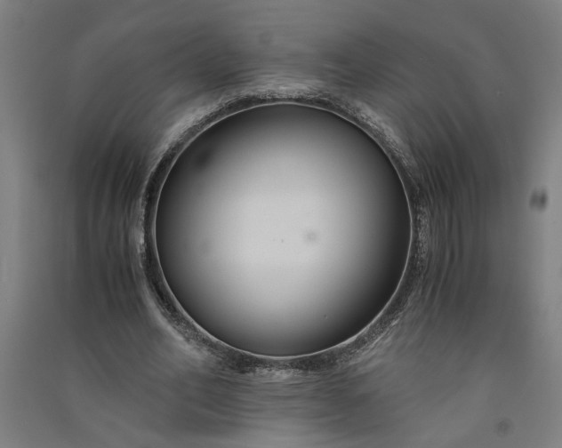 X0000091080582200708201436