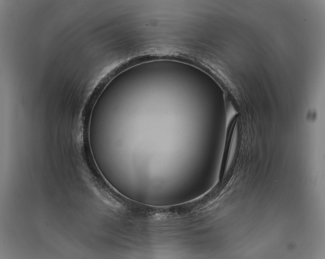 X0000091080584200708201436