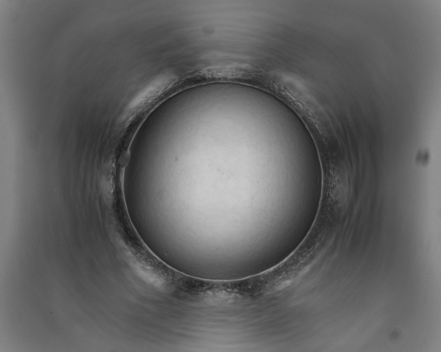 X0000091080586200708201436