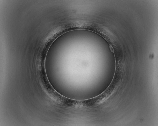 X0000091080587200708201436