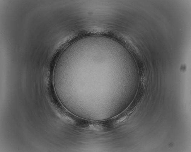 X0000091080591200708201436