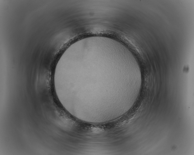 X0000091080592200708201436