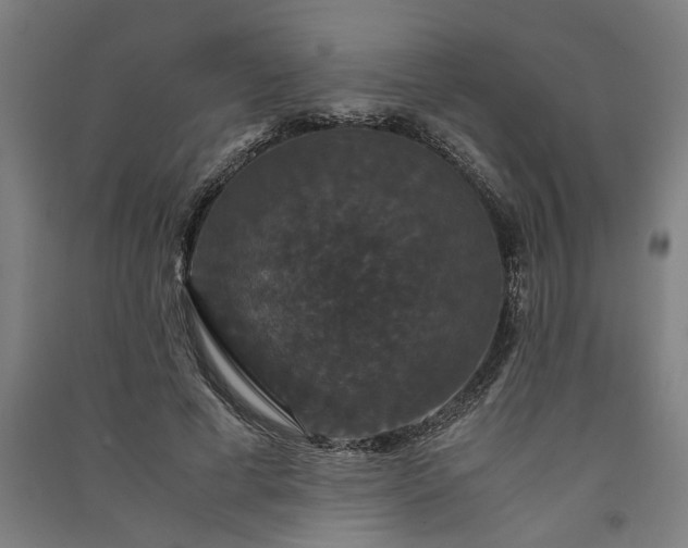 X0000091080593200708201436