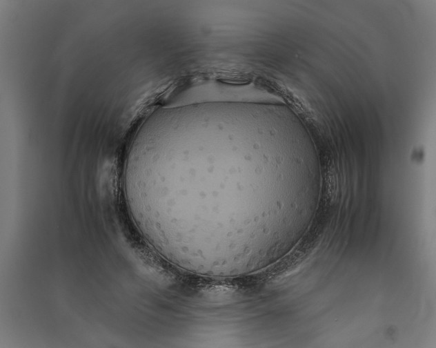 X0000091080594200708201435