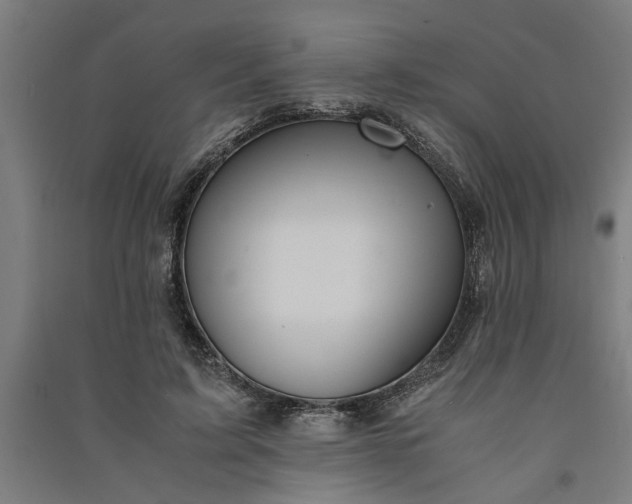 X0000091080595200708201435