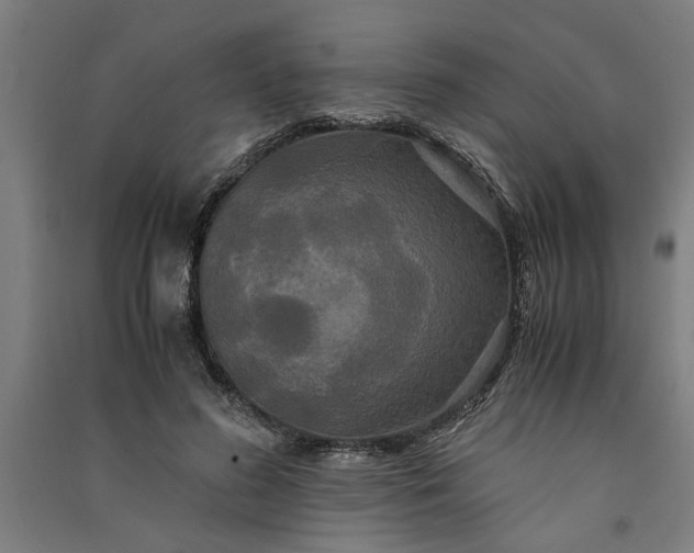 X0000091080596200708201435