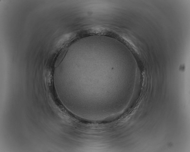 X0000091080597200708201435