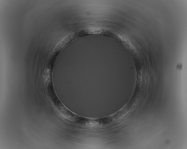 X0000091080598200708201435