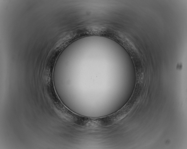 X0000091080599200708201435