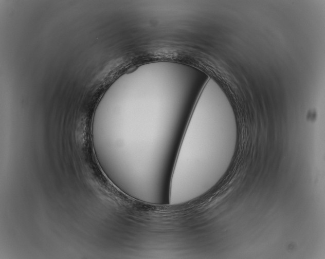 X0000091080600200708201435