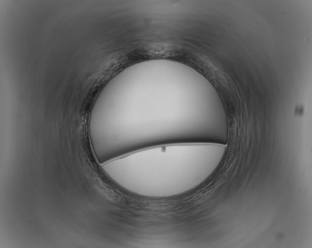 X0000091080601200708201435