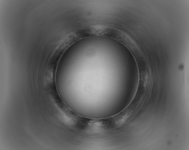 X0000091080602200708201435