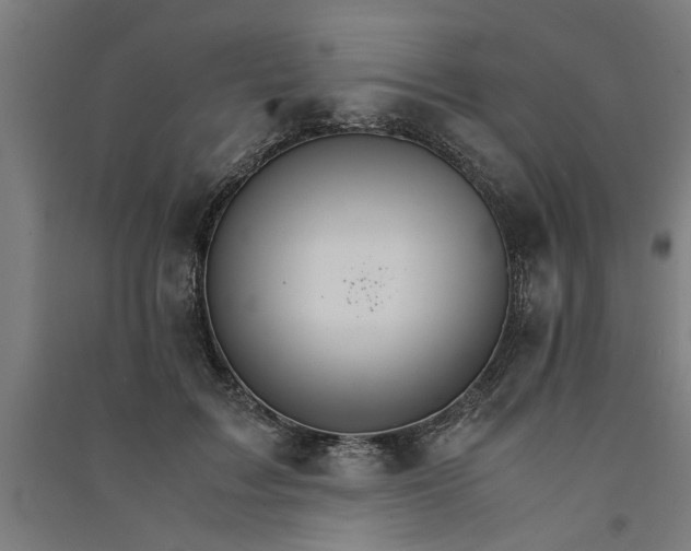 X0000091080603200708201435