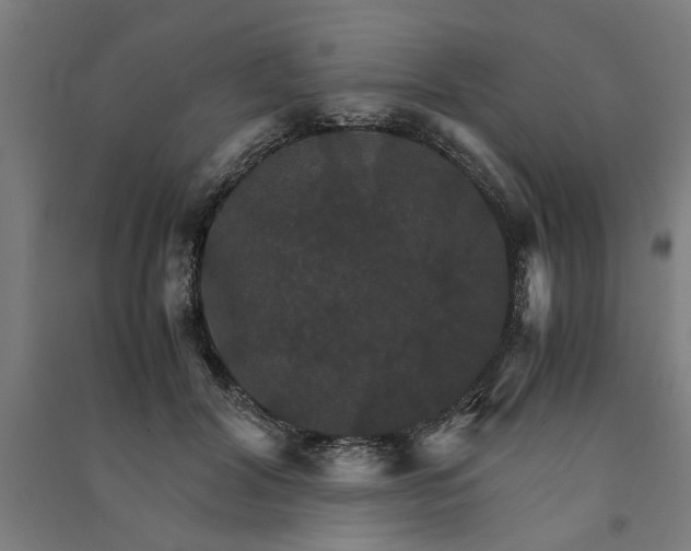 X0000091080604200708201435