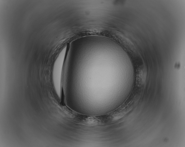 X0000091080608200708201435