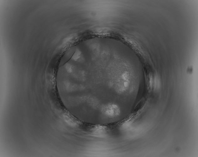 X0000091080609200708201435