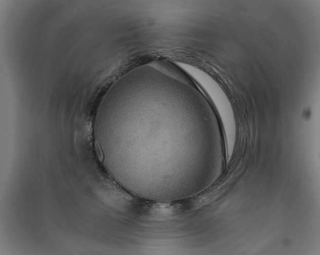 X0000091080613200708201435