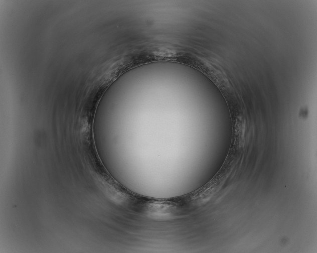 X0000091080614200708201435