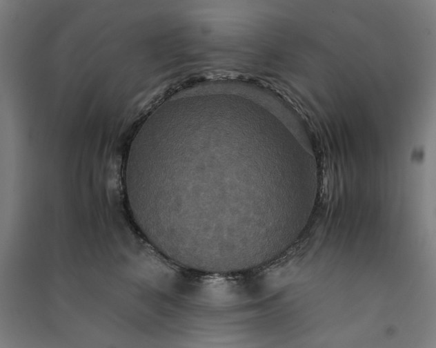 X0000091080616200708201435