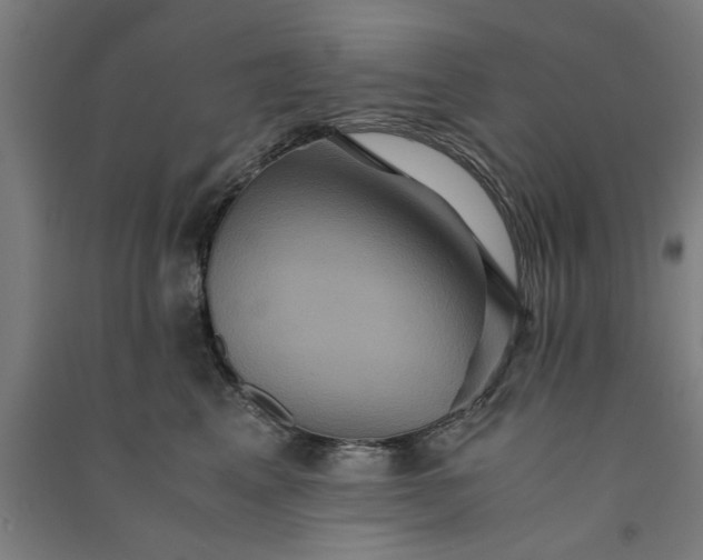 X0000091080617200708201435