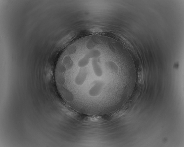 X0000091080618200708201435