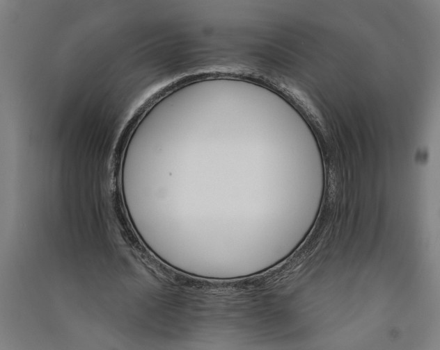 X0000091080628200708201434