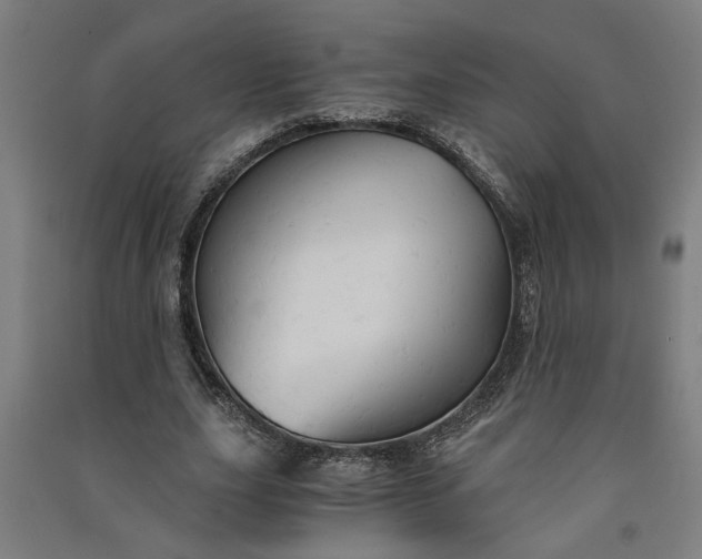 X0000091080631200708201434