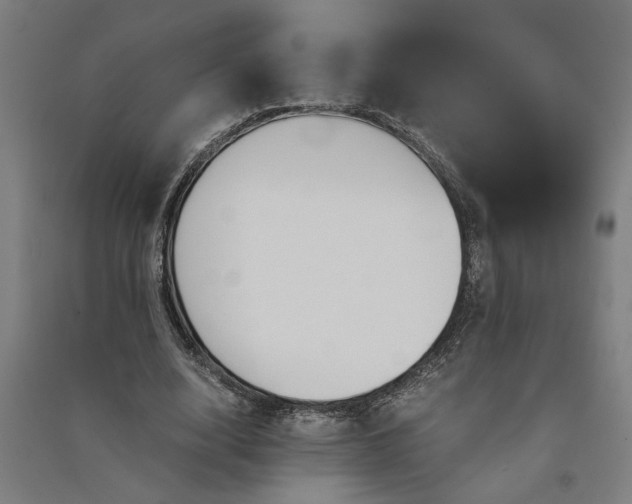 X0000091080632200708201434