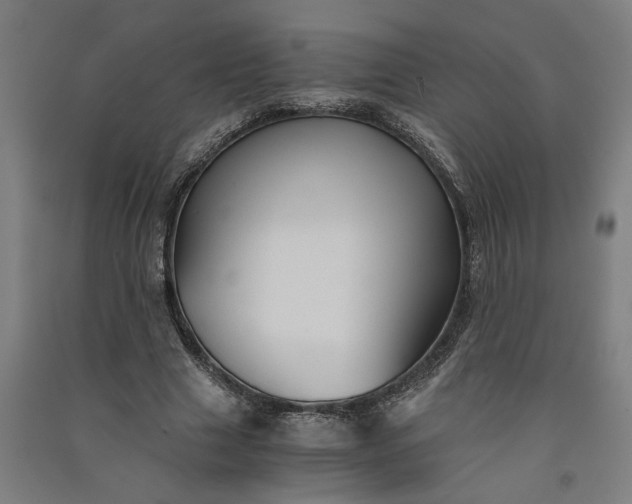 X0000091080633200708201434