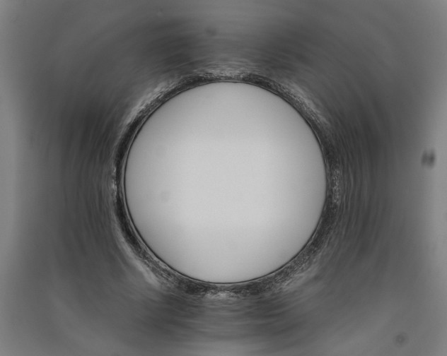 X0000091080634200708201434