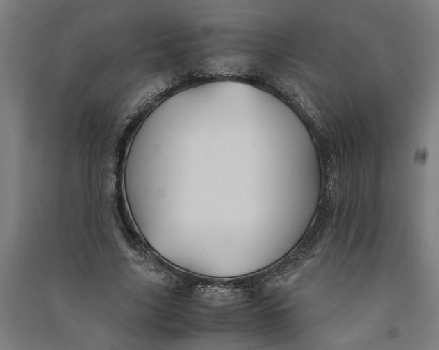 X0000091080635200708201434