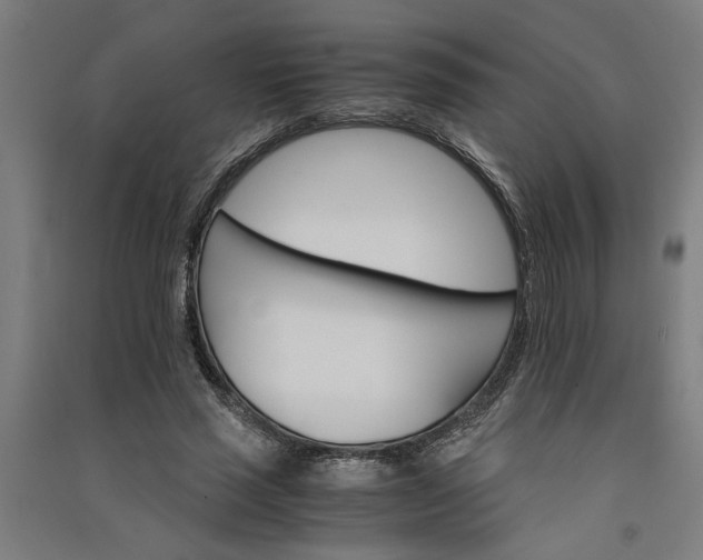 X0000091080637200708201434