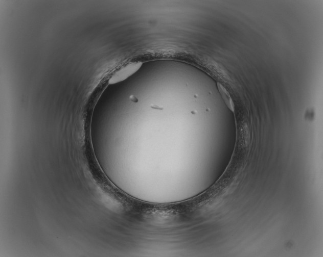 X0000091080638200708201434