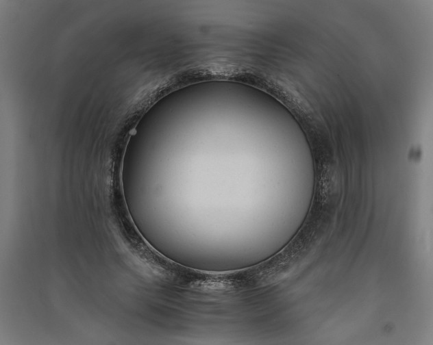 X0000091080639200708201434