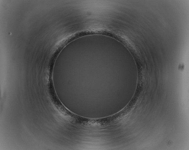 X0000091080640200708201434