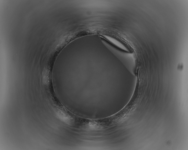 X0000091080641200708201434