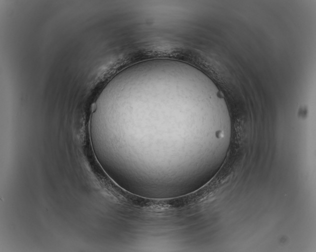 X0000091080642200708201434